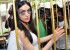 adah-sharma-says-birds-dont-belong-in-cages-event-23_571ed37163800