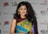 colors-tv-indian-telly-awards-2013-48_571db0b0cd1de