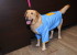 designer-sonya-vajifdar-launch-her-rainwear_571ed9605c4be