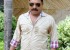 full-to-dhamaal-movie-launch-1_571dd791713a8
