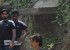 5_571cea38b49f4