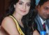 neil-nitin-mukesh-ameesha-patel-at-the-launch-of-jaipur-premier-league-season-2-8_571e4ec61cc92