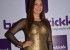 pooja-misrra-at-broomstickk-pre-launched-11_571dd8bd49a1a