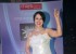 sonalika-pradhan-fashion-show-event-60_571f12d2d69c0
