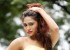 1455633012arpitha-enny-pics-pictures-photos-stills12