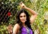 1438965254chandini-tamilarasan3