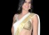 1430838174film-hot-actress-kratee-beautiful-white-saree-pics-photos-10