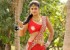 1447424236megha-sri-new-pics-pictures-photos13