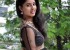 1425906698pavani-reddy-photo-shoot-at-dongata-press-meet2