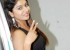 1445416319sai-akshatha-latest-stills-pics-pictures5