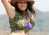 1431445961film-actress-seerat-kapoor-pics-photos-pictures-13