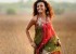 1431445961film-actress-seerat-kapoor-pics-photos-pictures-9