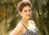 1457102564shraddha-das-latest-pictures-images-stills-photos35