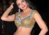 1448464214shweta-bhardwaj-latest-pics-pictures-photos1