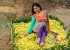 1443529763srushti-dange-latest-pics-pictures-photos21