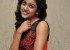 1415114108telugu_actress_vithika_sheru_new_photos_(4)