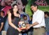 rai-rai-movie-platinum-disc-function-59_571f079930035