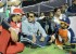 telugu-warriors-mumbai-heroes-teams-at-lb-stadium-781_571ee78f1f798