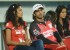 telugu-warriors-vs-karnataka-bulldozers-ccl-3-match-gallery-141_571f0f6999618