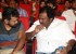 1424275699tiger-movie-audio-launch-photos11