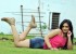 gurudu-movie-stills-4_571ce4a4e97f9