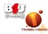 B4U Music and TinselVision sign major digital content deal