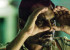 Nawazuddin's fans feature in 'Raman Raghav 2.0' promotional video