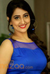 Manjusha