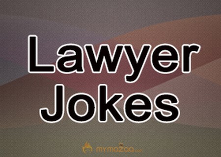 The Kind Lawyer