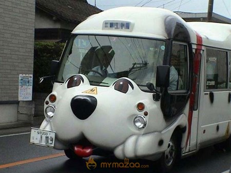 Dog Bus