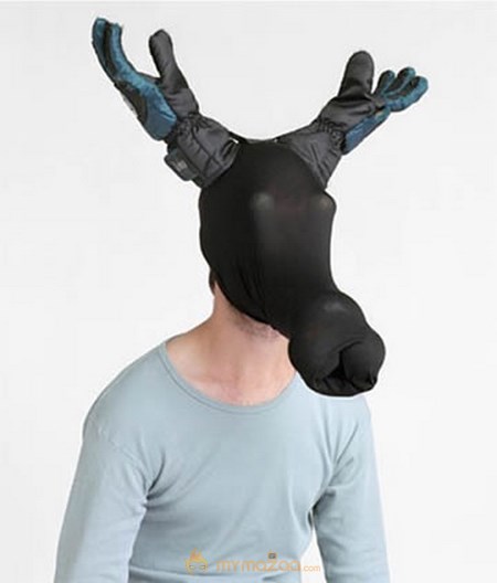 funny Animal Deer