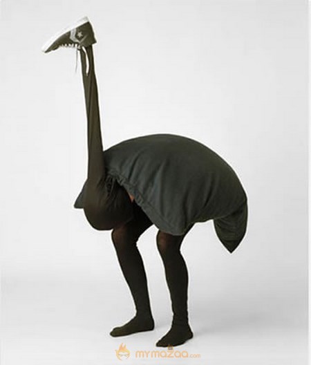 Funny Animal Ostrich