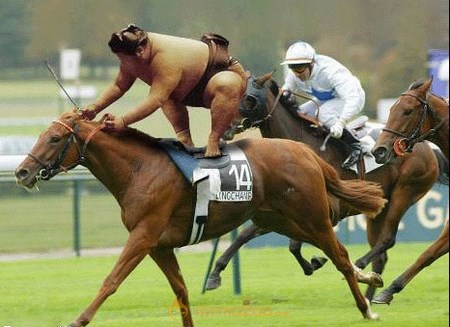 Horse Hunting