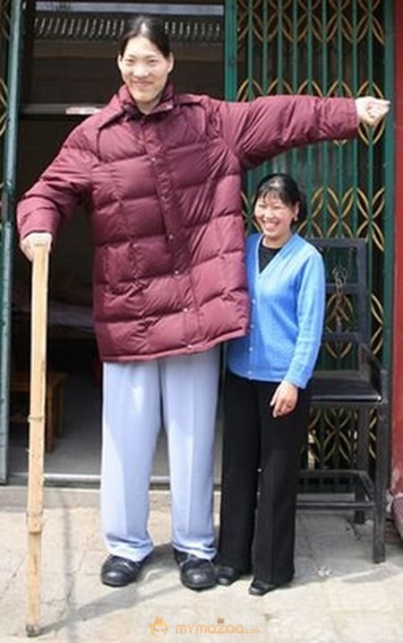 Tallest Man