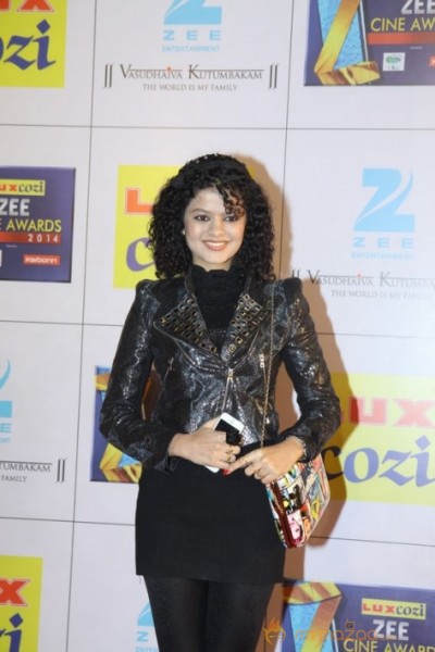 Bollywood Celebs At The Zee Cine Awards 2014