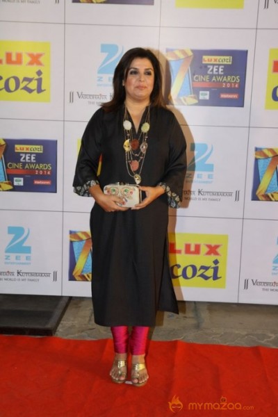 Bollywood Celebs At The Zee Cine Awards 2014