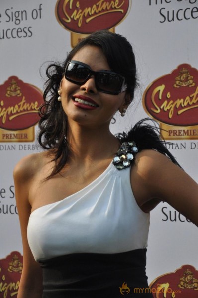 Celebs at Signature Premium Derby 2013 Photos