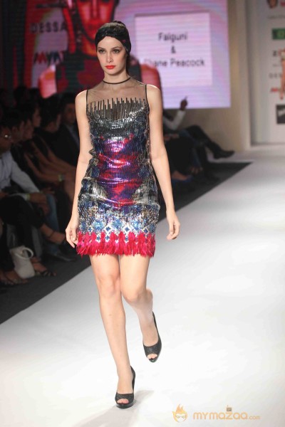 India Resortwear Fashion Week 2013 Photos2