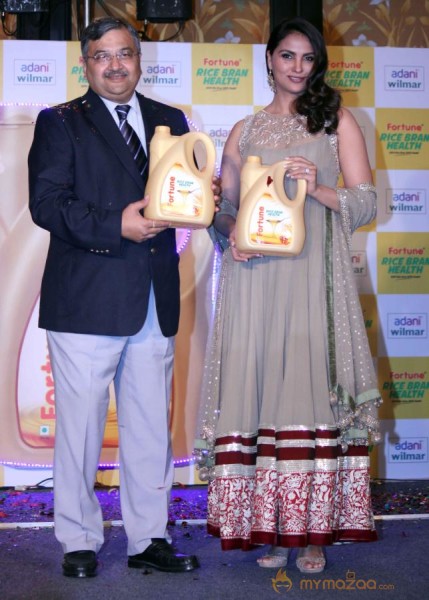 Lara Dutta At Fautune Rice Oil lauch