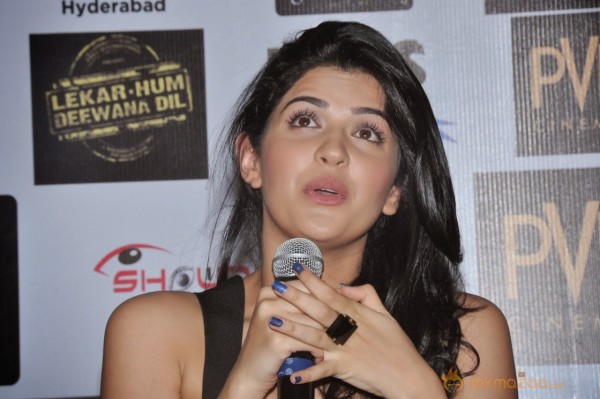 Lekar Hum Deewana Dil Movie Press Meet