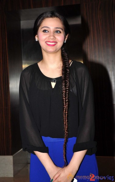 Yamla Pagla Deewana 2 Audio Launch Photos 