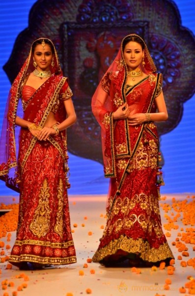 Zareen Khan at Iigj At Iijw 2014