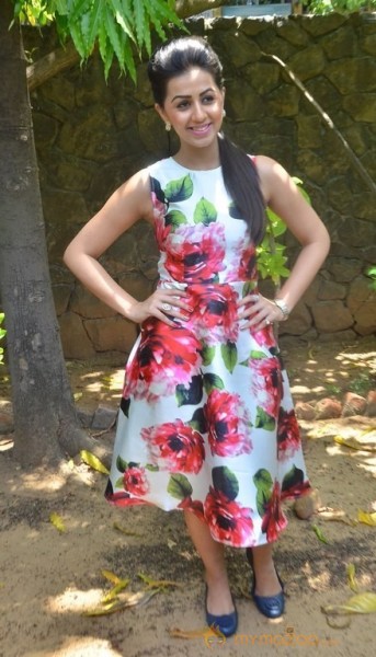 Nikki Galrani Latest Pics