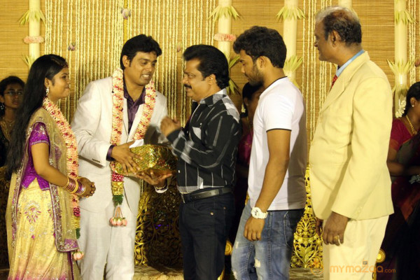 ALS Nachiyappan Son's Wedding Reception Photos 