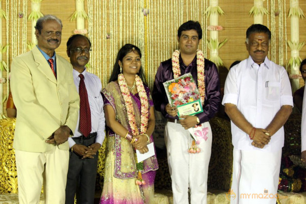 ALS Nachiyappan Son's Wedding Reception Photos 