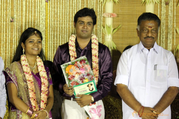 ALS Nachiyappan Son's Wedding Reception Photos 