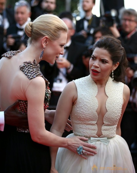 Cannes Film Festival 2014 Red Carpet Photos