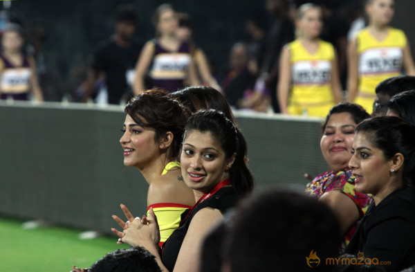 Chennai Rhinos Vs Bengal Tigers CCL 3 Match Gallery 