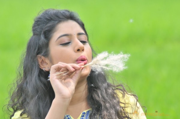 Kadhal Paithiyam Movie Stills