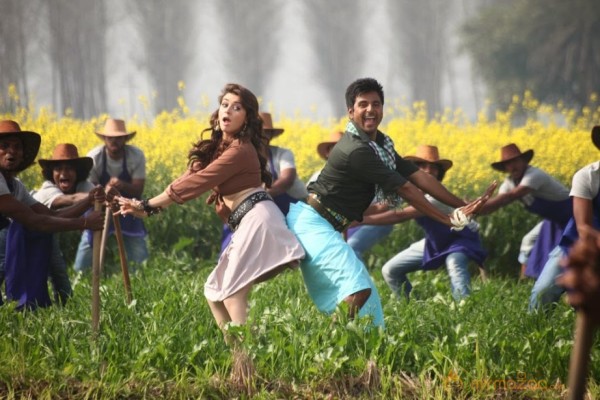 Maan Karate Tamil Movie Stills